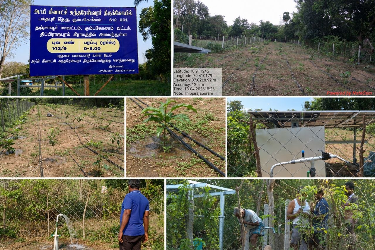 Temple Land Reclamation Project Collage